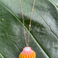 Sunrise Shell with Gold Filled Link Chain Necklace