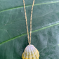 Sunrise Shell with Gold Filled Link Chain Necklace