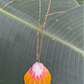 Sunrise Shell with Gold Filled Link Chain Necklace