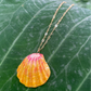 Sunrise Shell with Gold Filled Link Chain Necklace