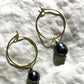 Tahitian Pearl Hoop Earrings