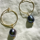 Tahitian Pearl Hoop Earrings